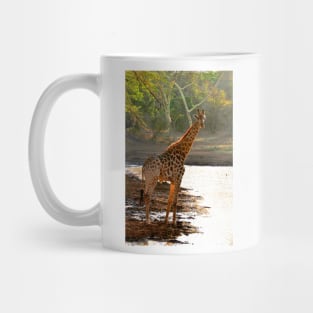 Giraffe Zulu Nyala Game Reserve South Africa Mug